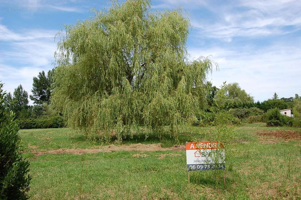 Photo 2 - Terrain à ETAULIERS