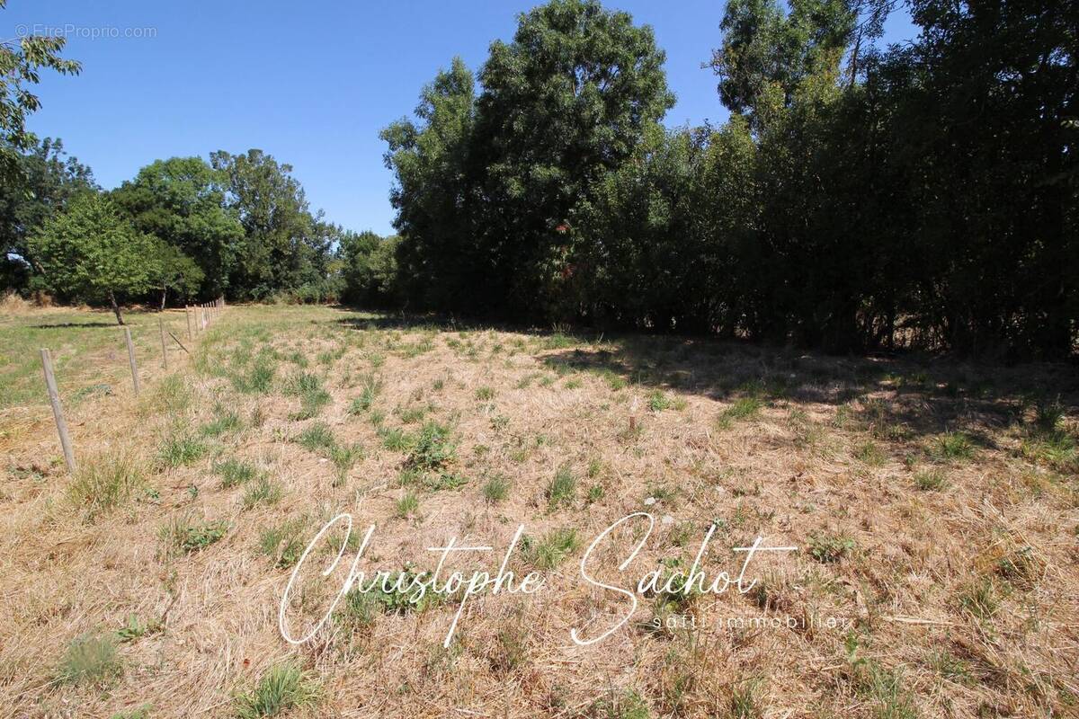 Photo 1 - Terrain à FORS