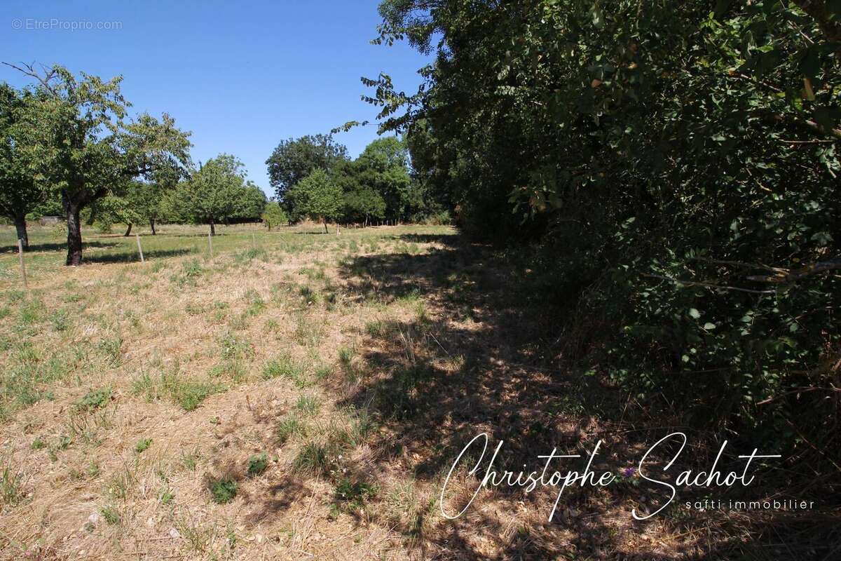 Photo 3 - Terrain à FORS