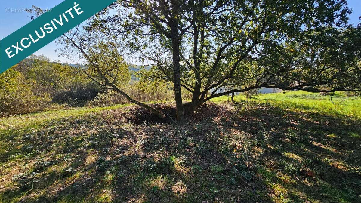 Photo 3 - Terrain à LA SALVETAT-BELMONTET