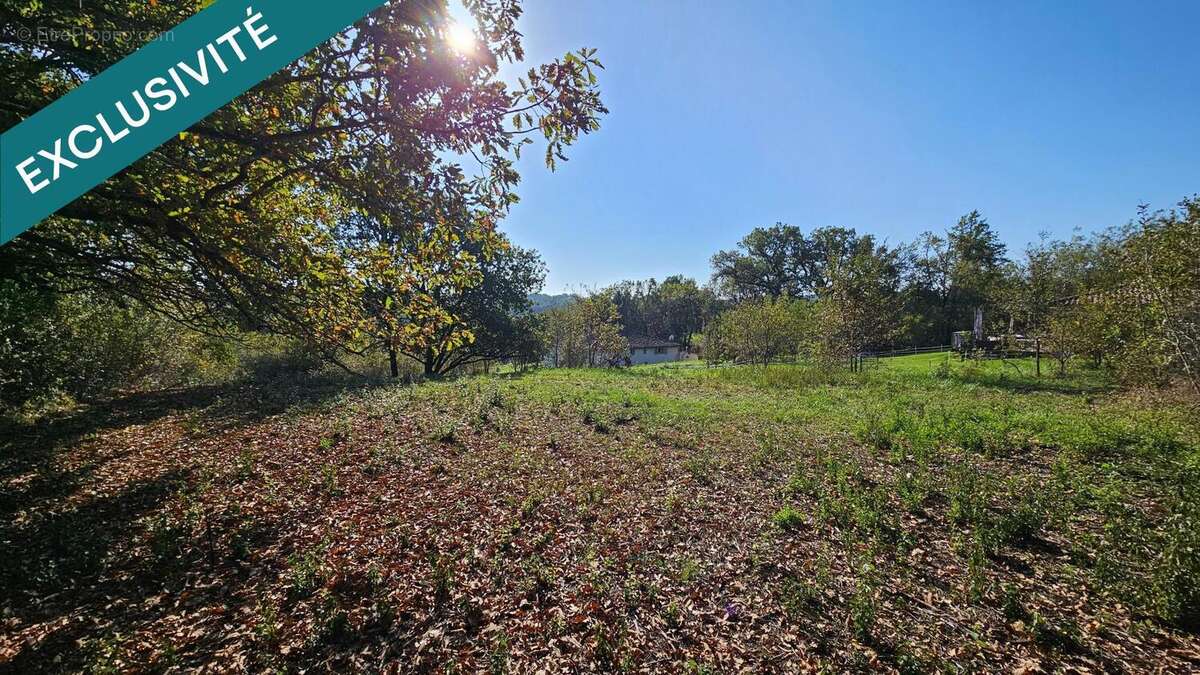 Photo 4 - Terrain à LA SALVETAT-BELMONTET
