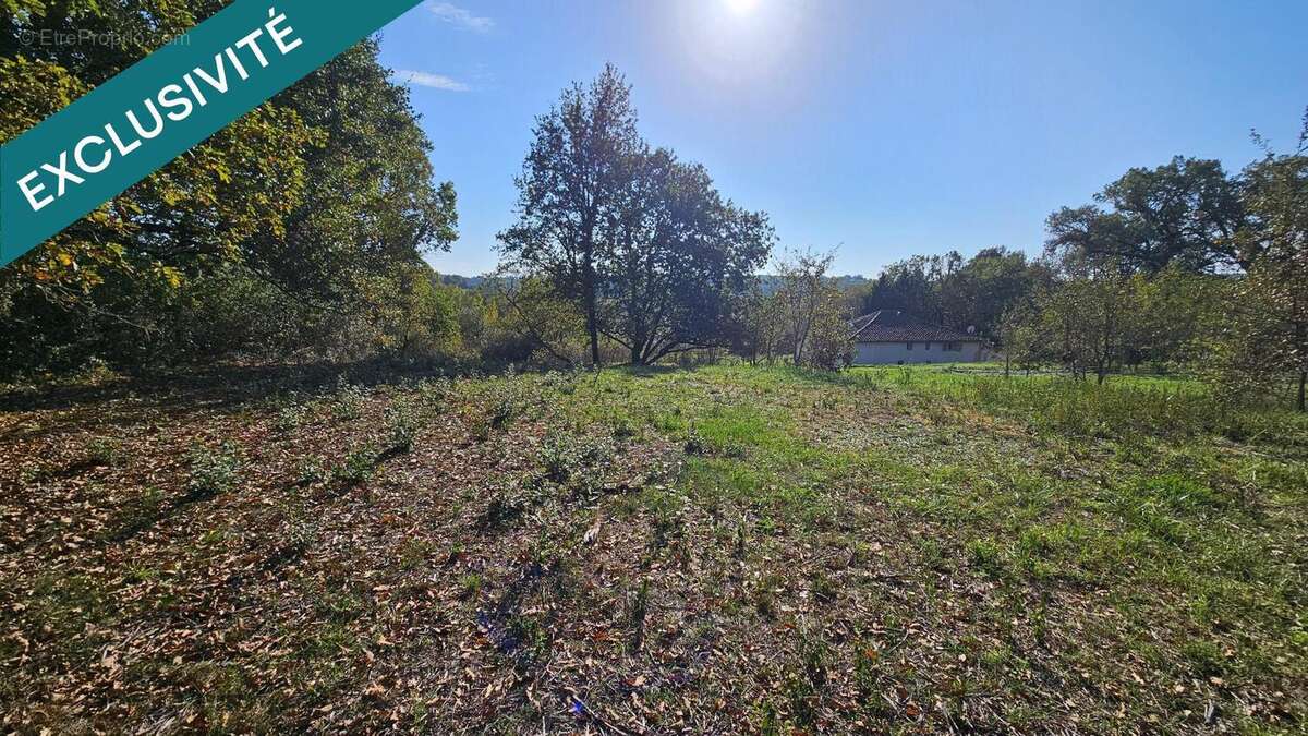 Photo 5 - Terrain à LA SALVETAT-BELMONTET