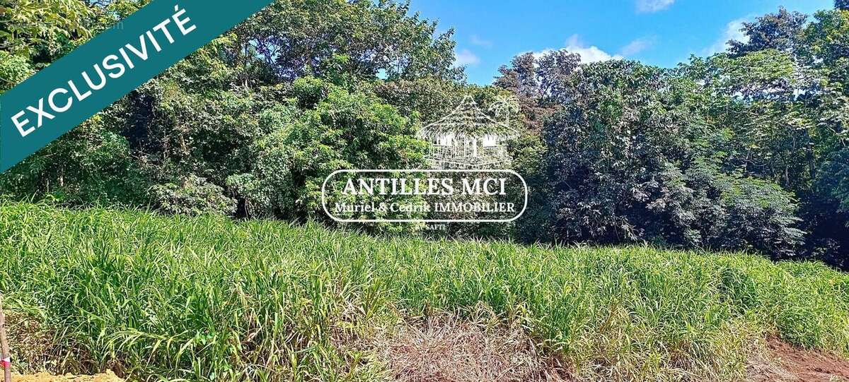 Photo 2 - Terrain à RIVIERE-SALEE