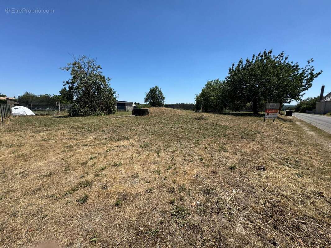 Photo 4 - Terrain à MANSIGNE