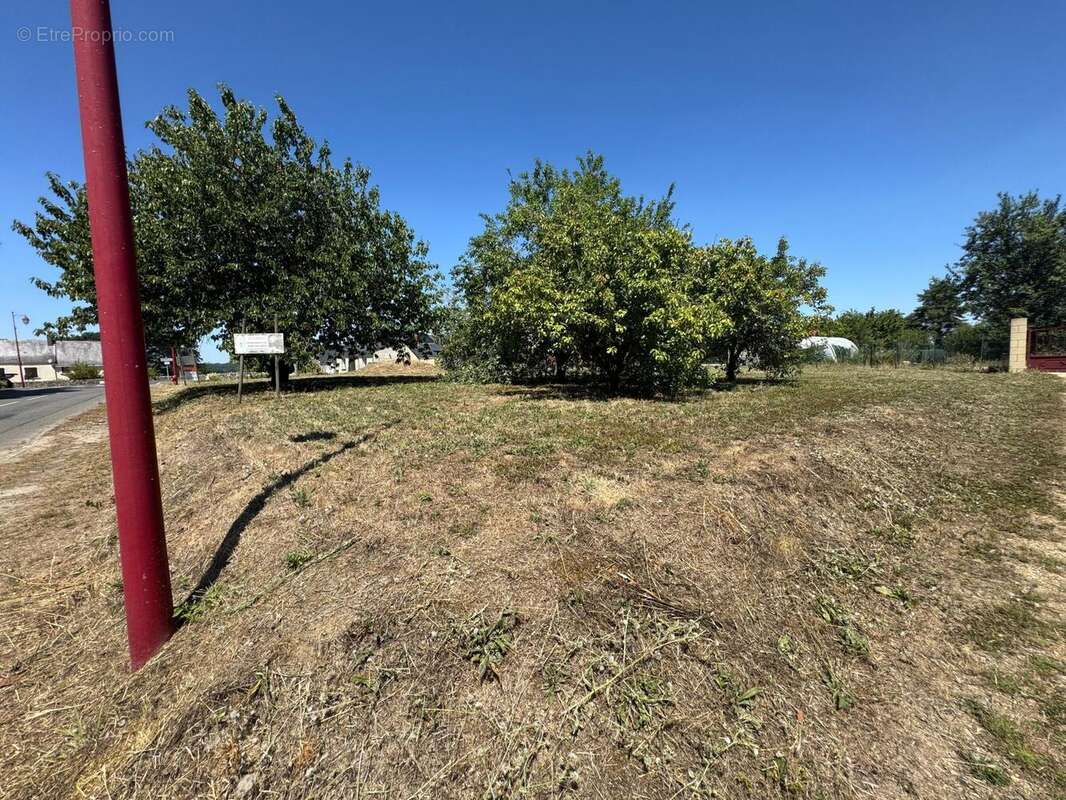 Photo 5 - Terrain à MANSIGNE