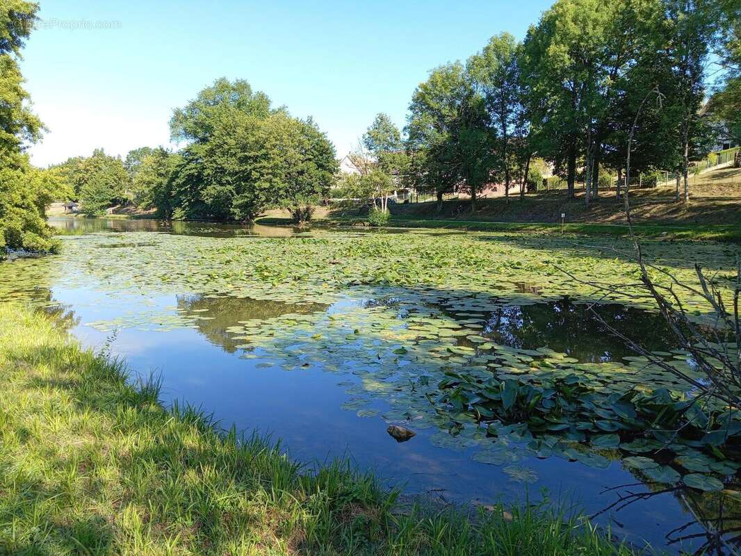 Photo 2 - Maison à COURS-LES-BARRES