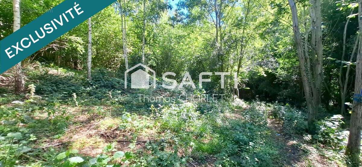 Photo 4 - Terrain à MONS-EN-LAONNOIS