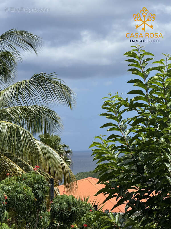 Maison à LES ANSES-D&#039;ARLET