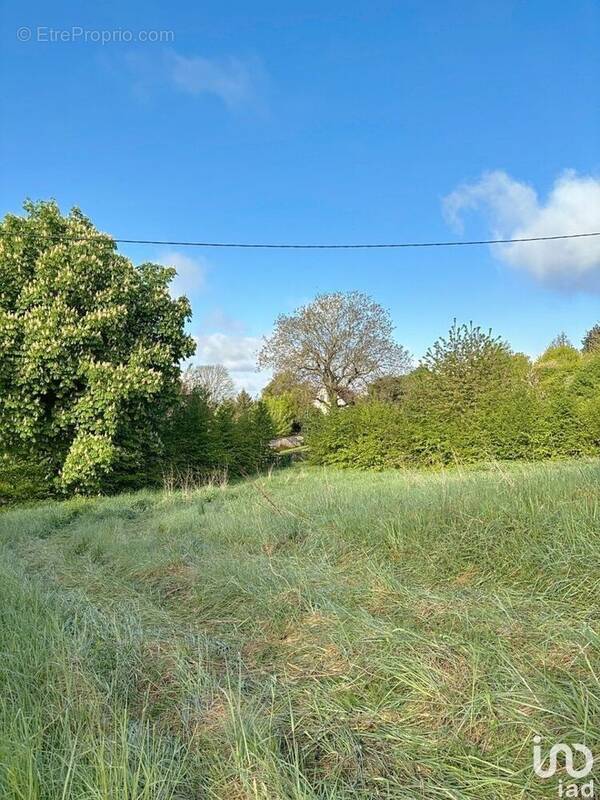 Photo 1 - Terrain à MAREUIL-EN-BRIE