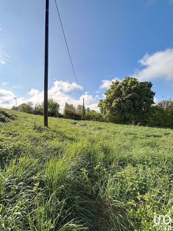 Photo 2 - Terrain à MAREUIL-EN-BRIE