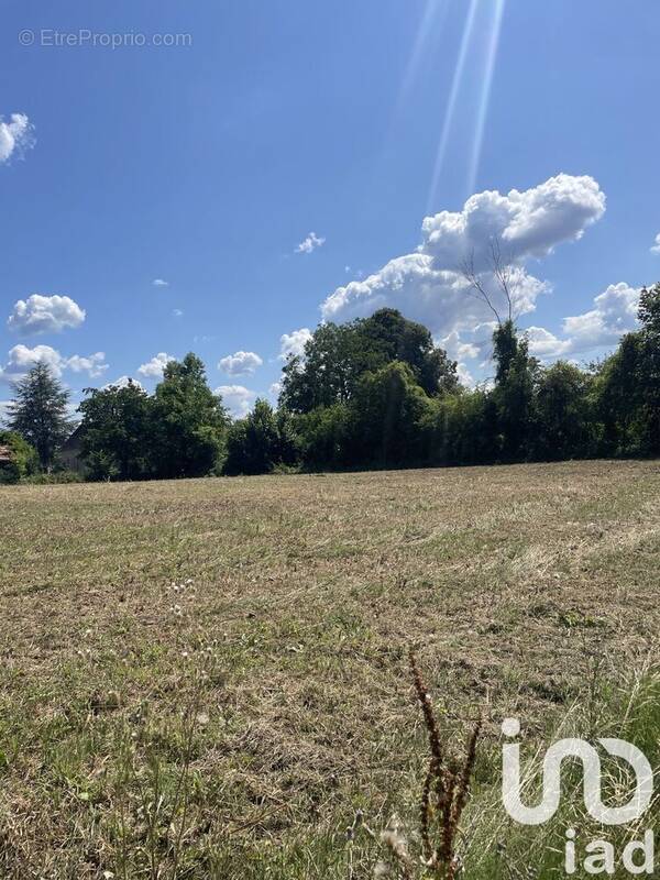 Photo 1 - Terrain à CLAIROIX