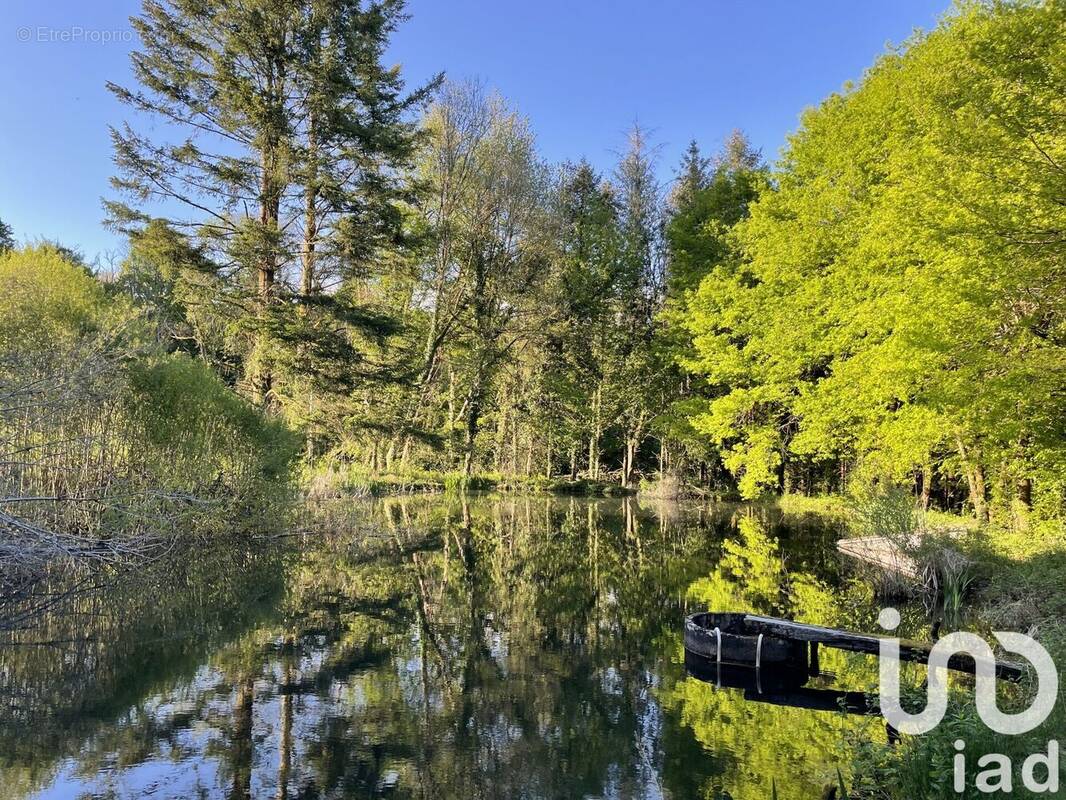 Photo 1 - Terrain à NAVES