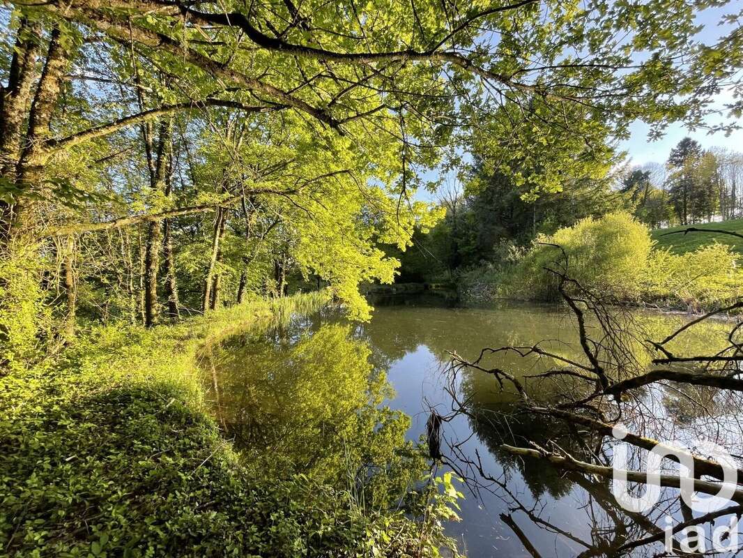 Photo 2 - Terrain à NAVES