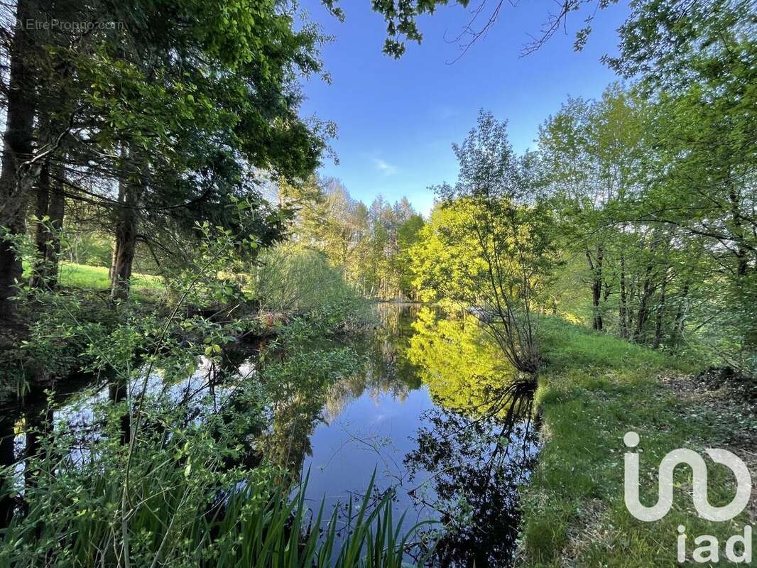 Photo 3 - Terrain à NAVES