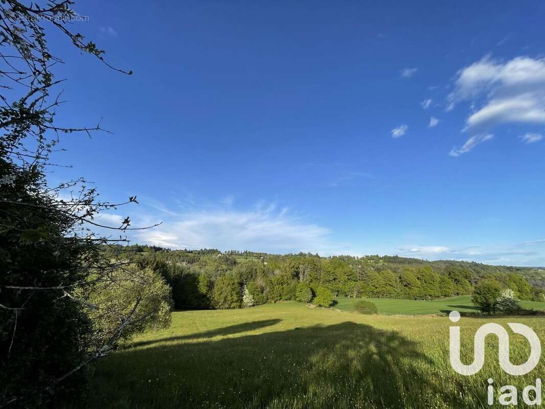 Photo 5 - Terrain à NAVES