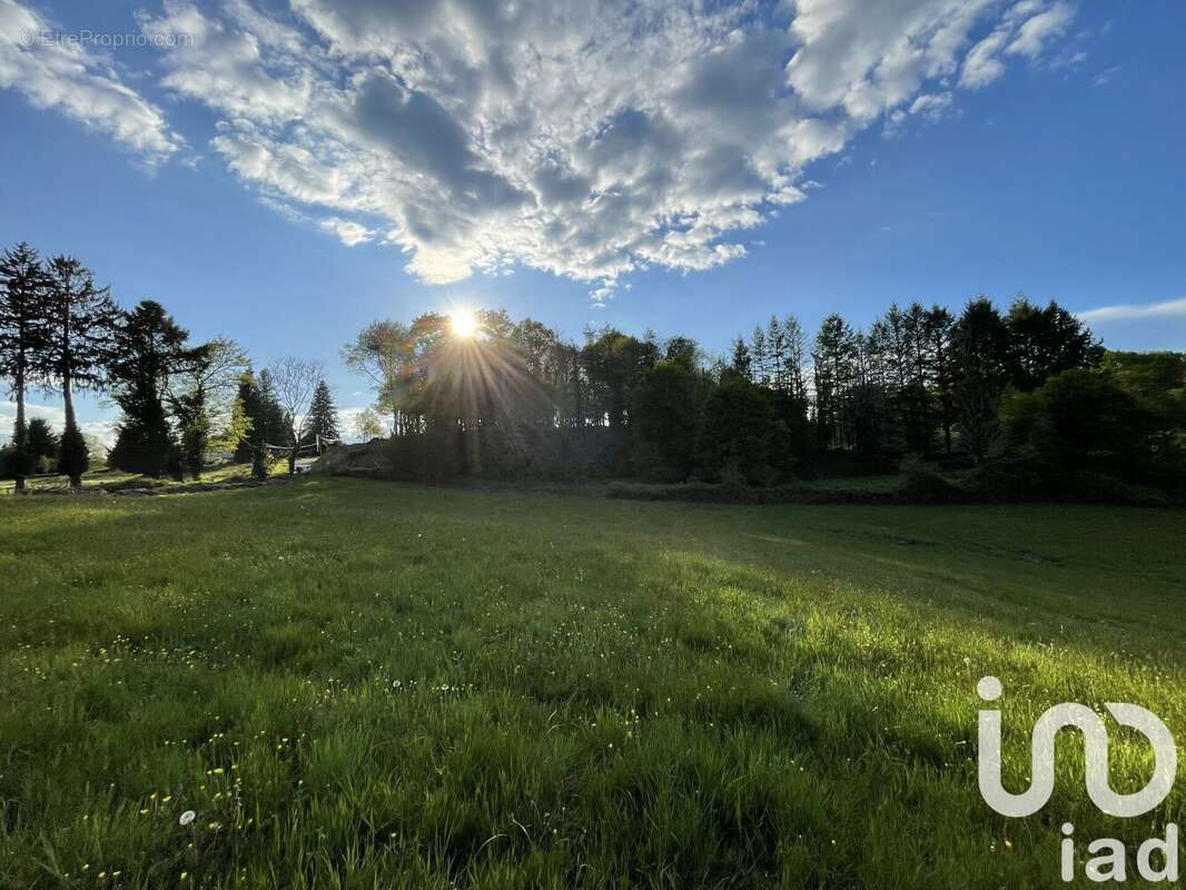 Photo 6 - Terrain à NAVES