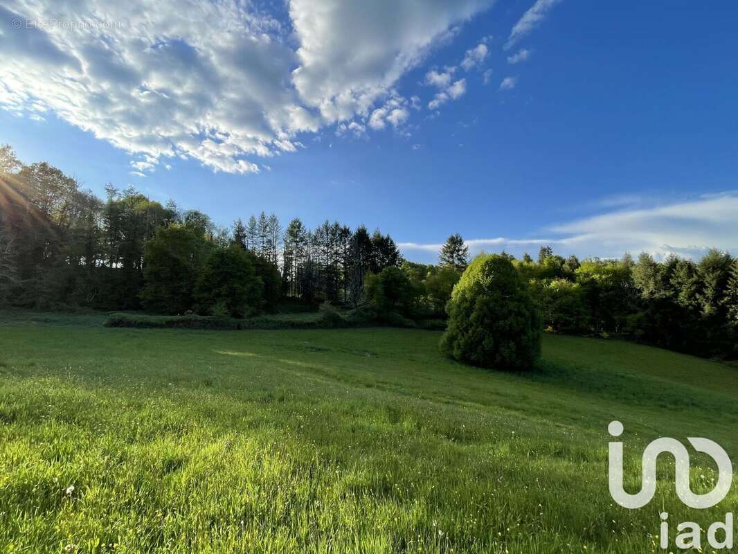 Photo 7 - Terrain à NAVES