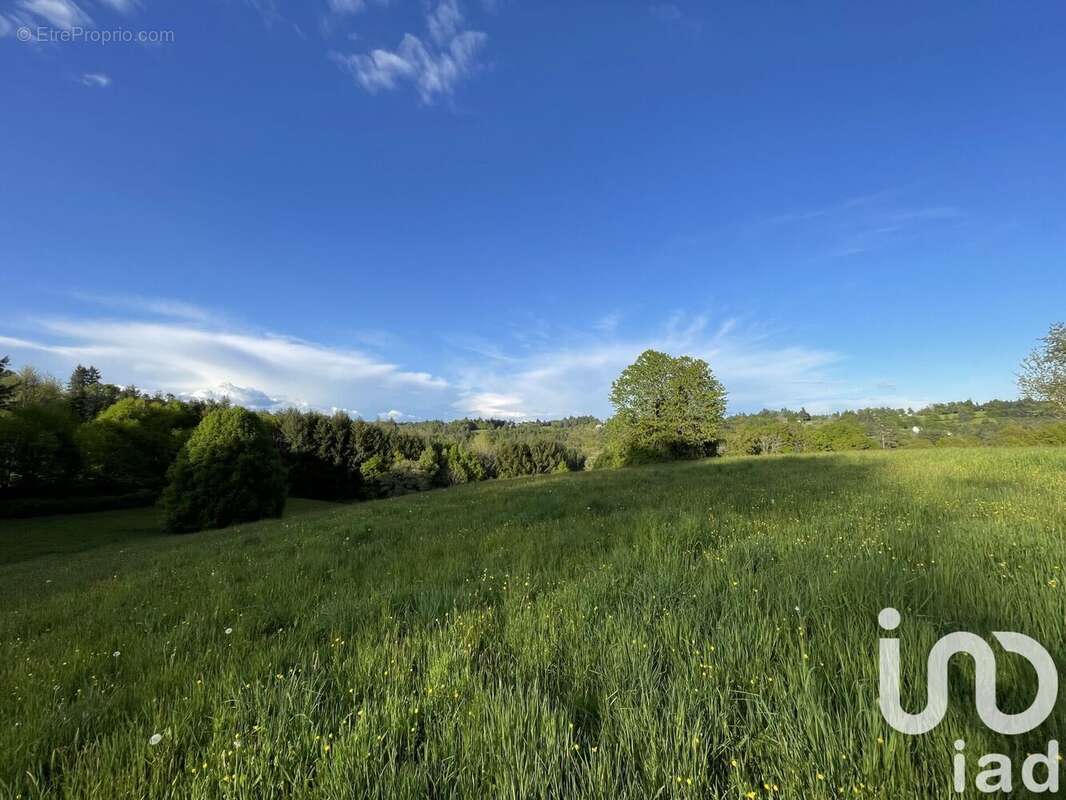 Photo 8 - Terrain à NAVES