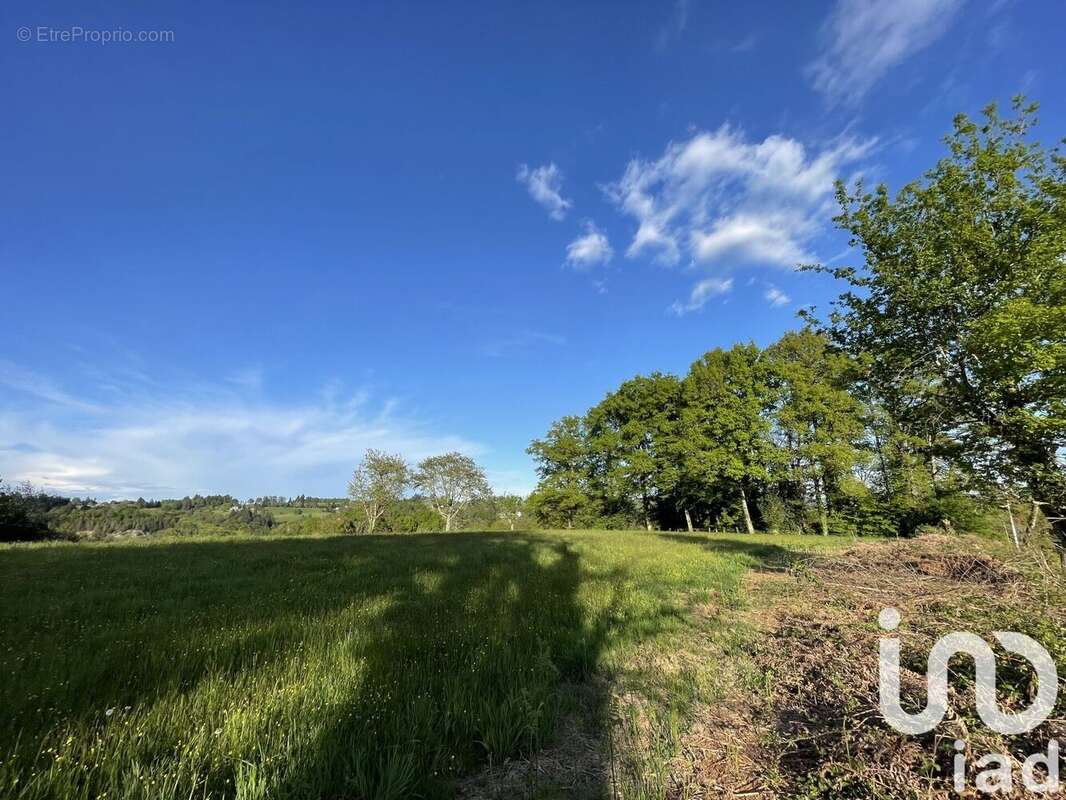 Photo 9 - Terrain à NAVES