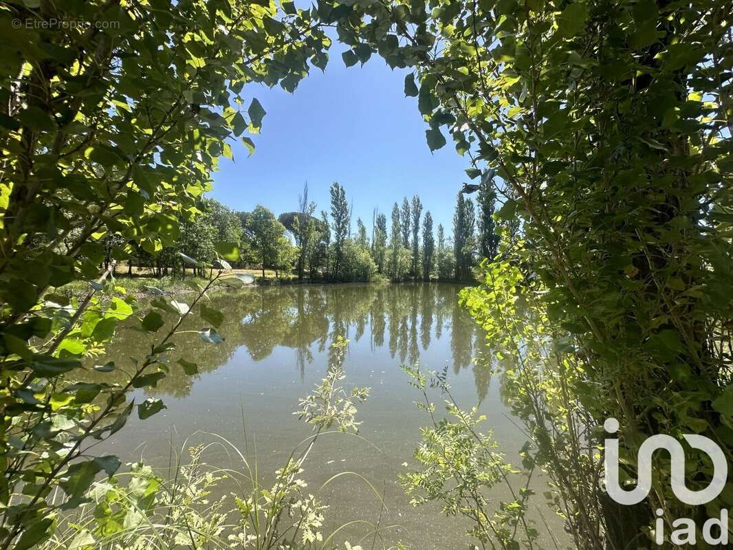 Photo 4 - Maison à ROQUEBRUNE-SUR-ARGENS