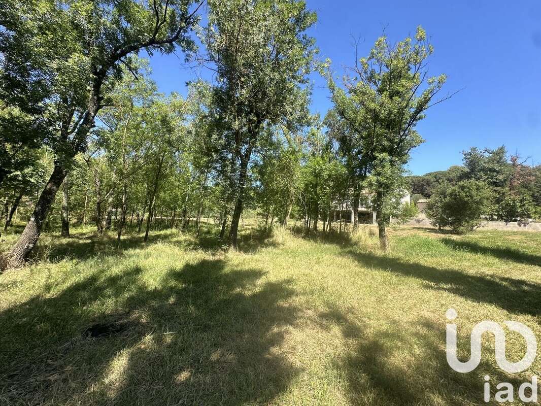 Photo 5 - Maison à ROQUEBRUNE-SUR-ARGENS