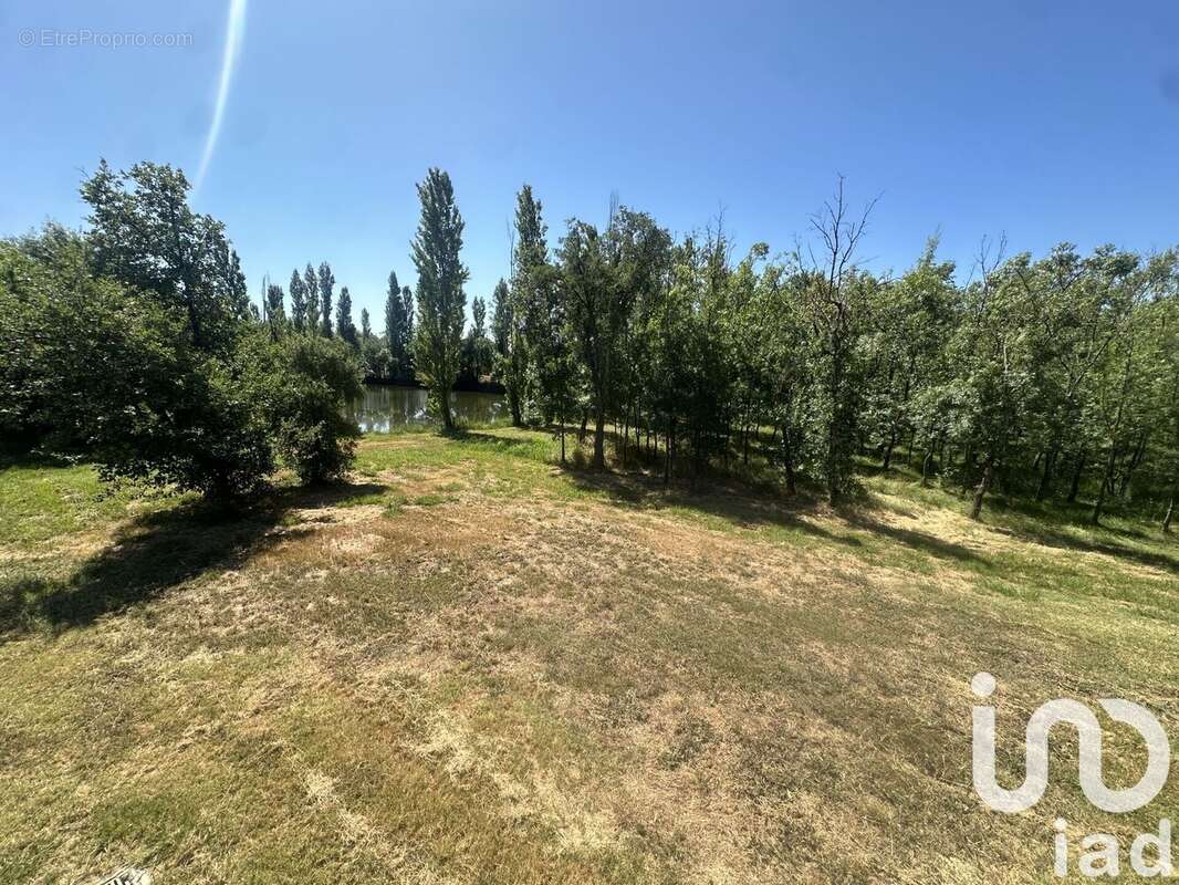 Photo 6 - Maison à ROQUEBRUNE-SUR-ARGENS