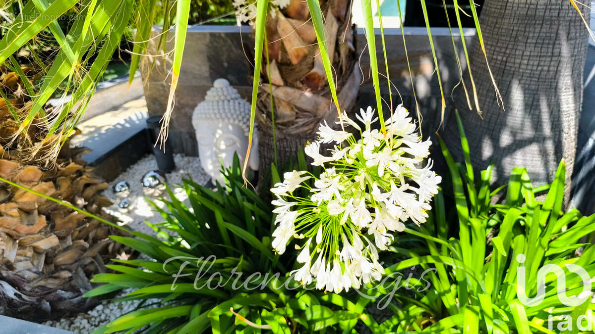 Photo 2 - Maison à BALARUC-LES-BAINS