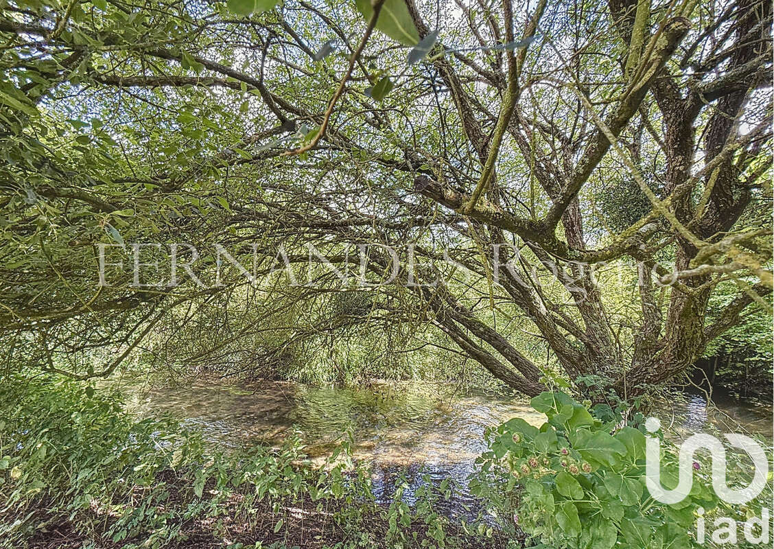 Photo 8 - Maison à DADONVILLE