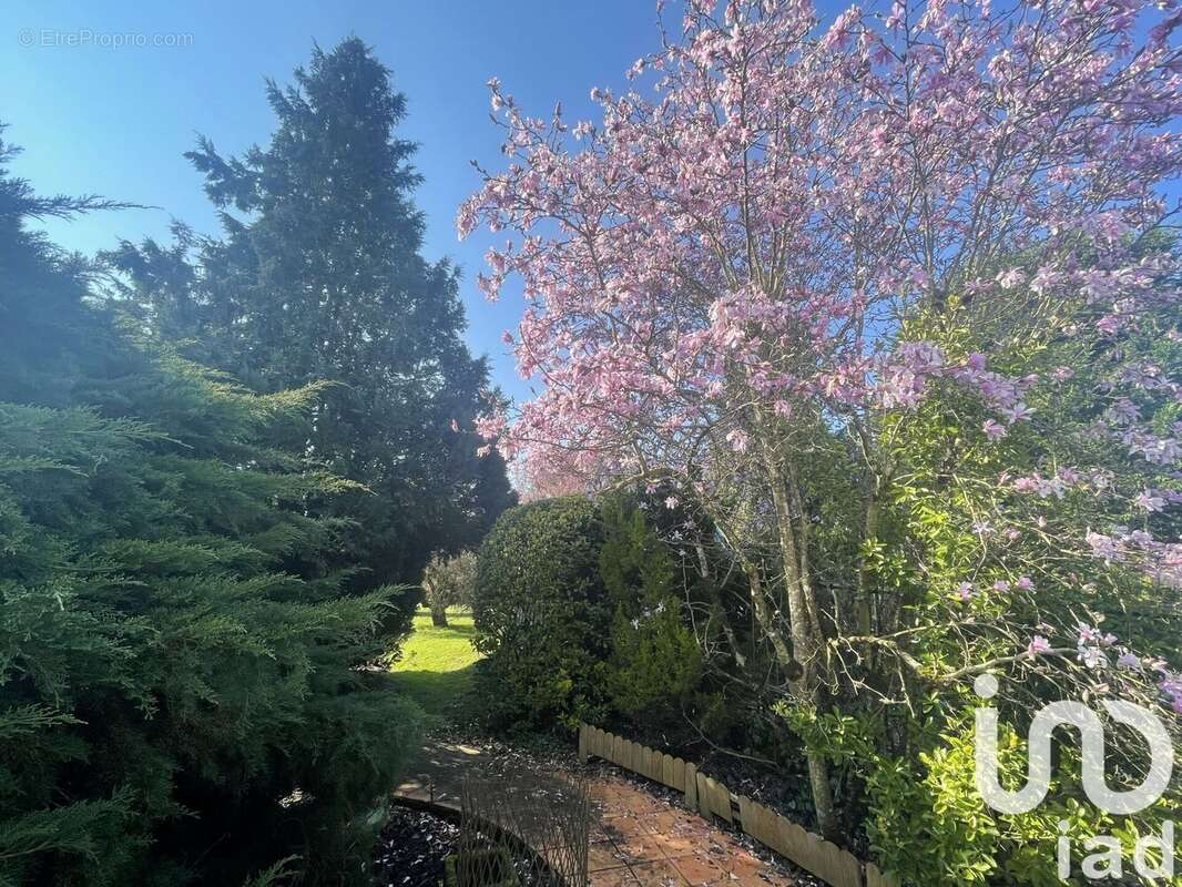 Photo 6 - Maison à LUSSANT