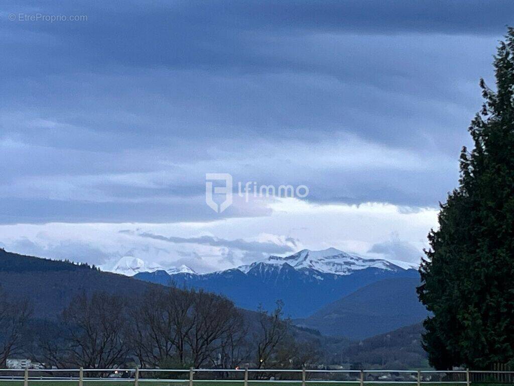 Terrain à MONTREJEAU