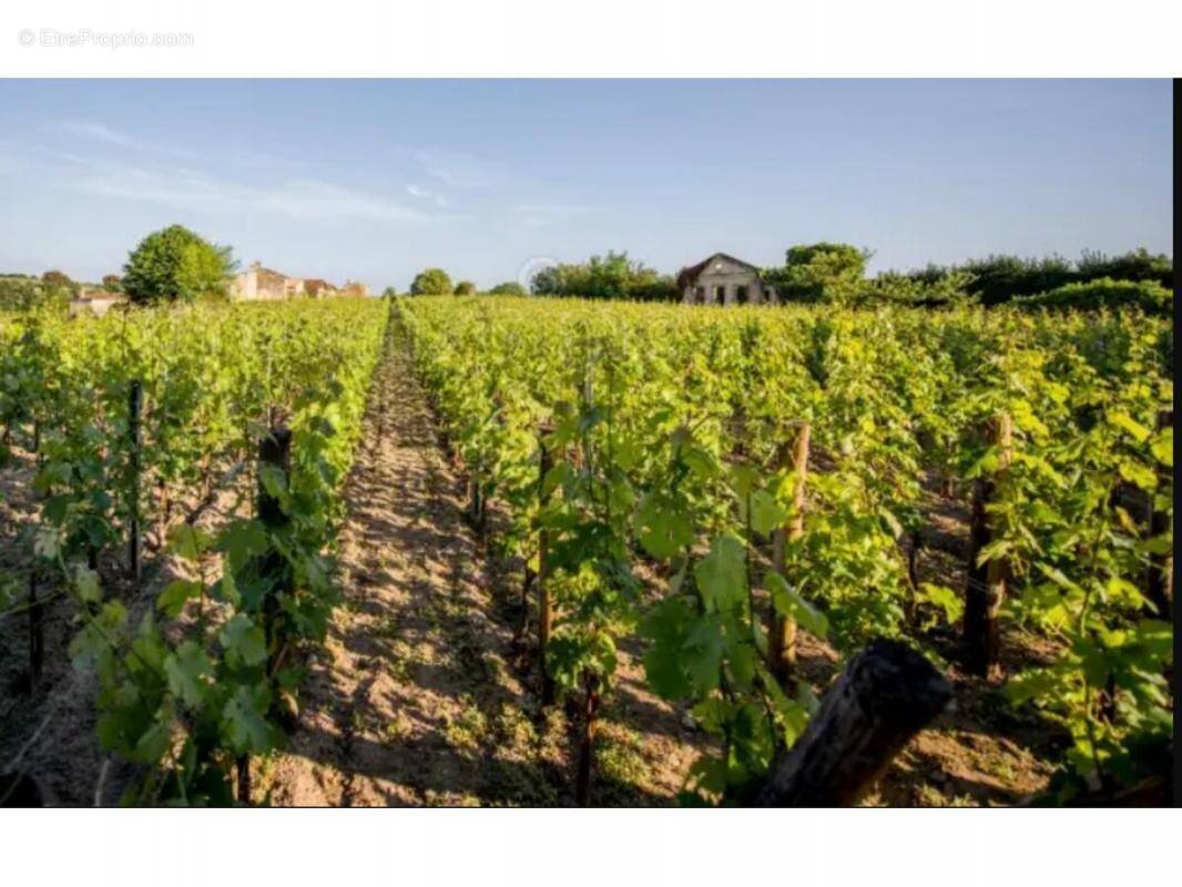 Terrain à SAINT-SULPICE-DE-FALEYRENS
