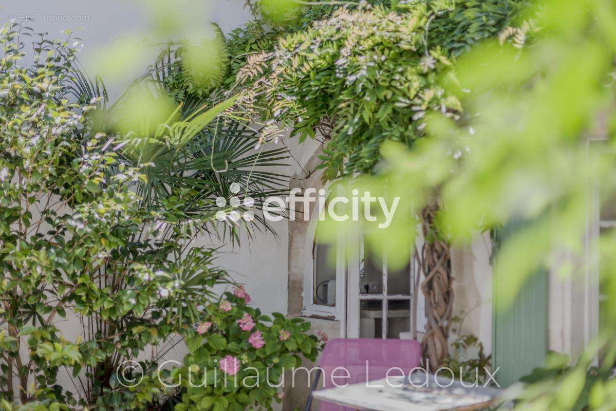 Maison à LES PORTES-EN-RE