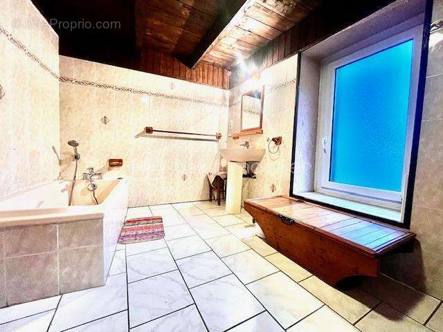 Maison à SAINT-JULIEN-MONT-DENIS