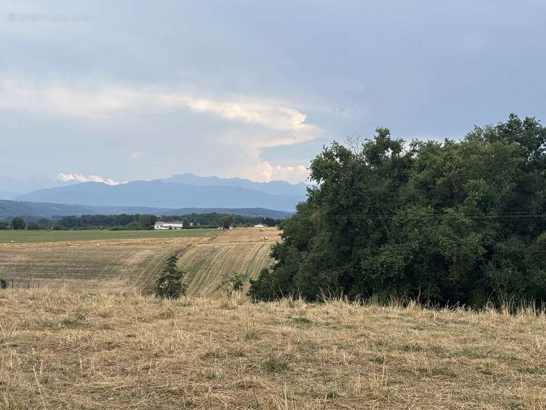 Terrain à TRIE-SUR-BAISE