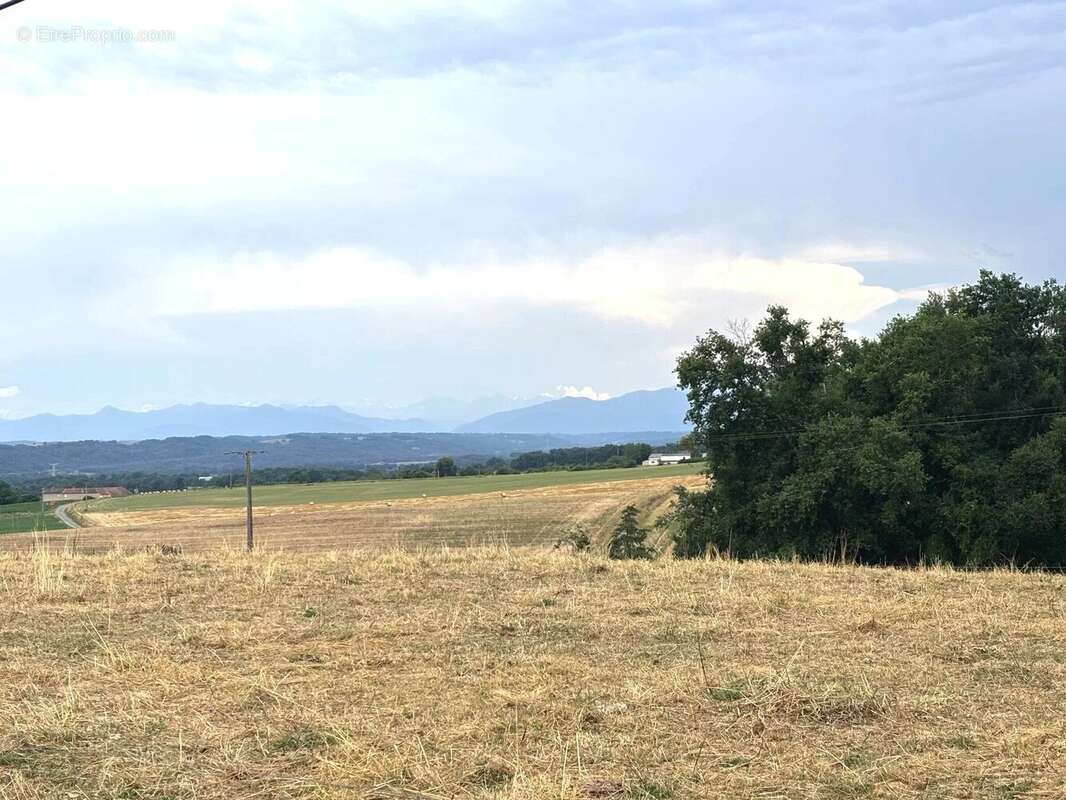 Terrain à TRIE-SUR-BAISE