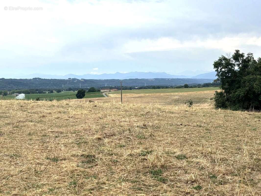 Terrain à TRIE-SUR-BAISE