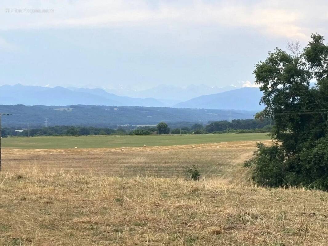 Terrain à TRIE-SUR-BAISE