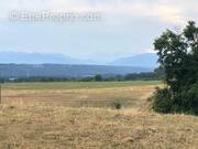 Terrain à TRIE-SUR-BAISE