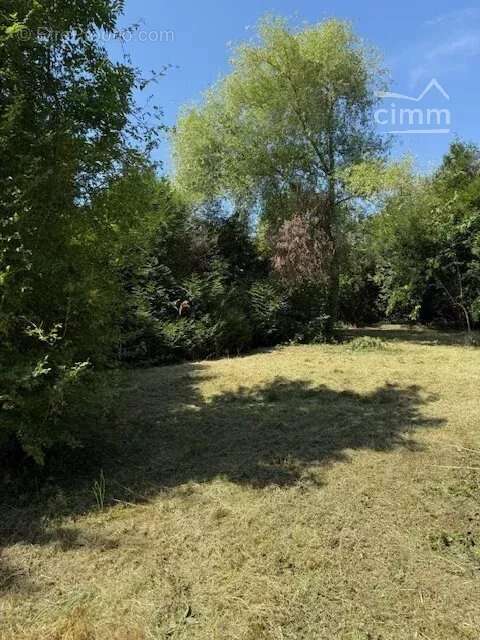 Terrain à SAINT-CYR-SUR-MORIN