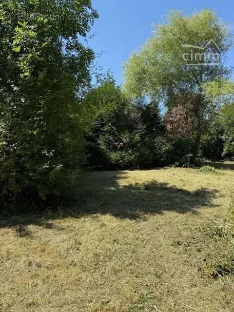 Terrain à SAINT-CYR-SUR-MORIN