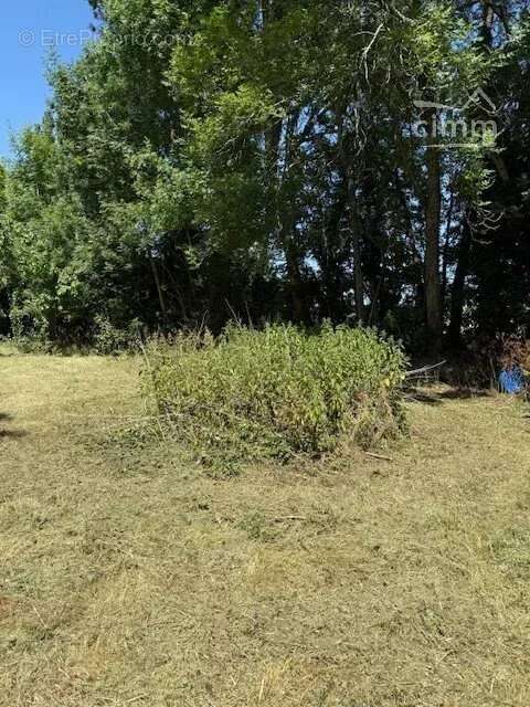 Terrain à SAINT-CYR-SUR-MORIN