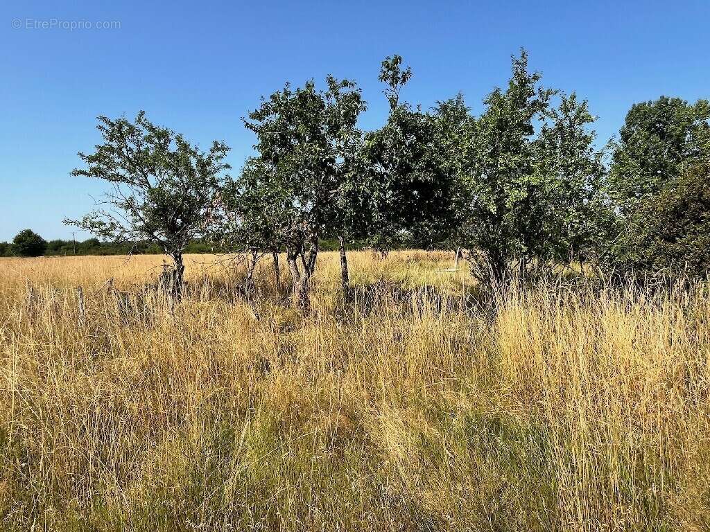 Maison à JOUY-LE-POTIER