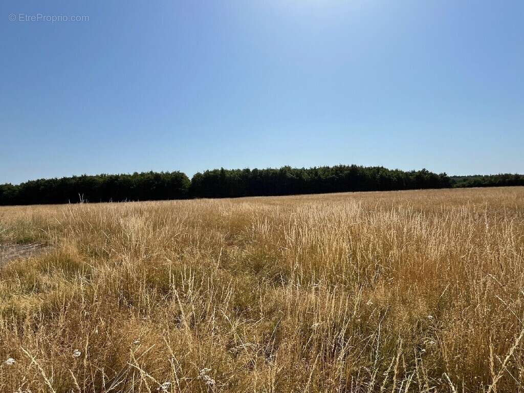 Maison à JOUY-LE-POTIER