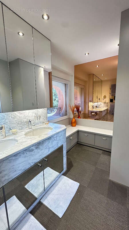 Appartement à VIENNE