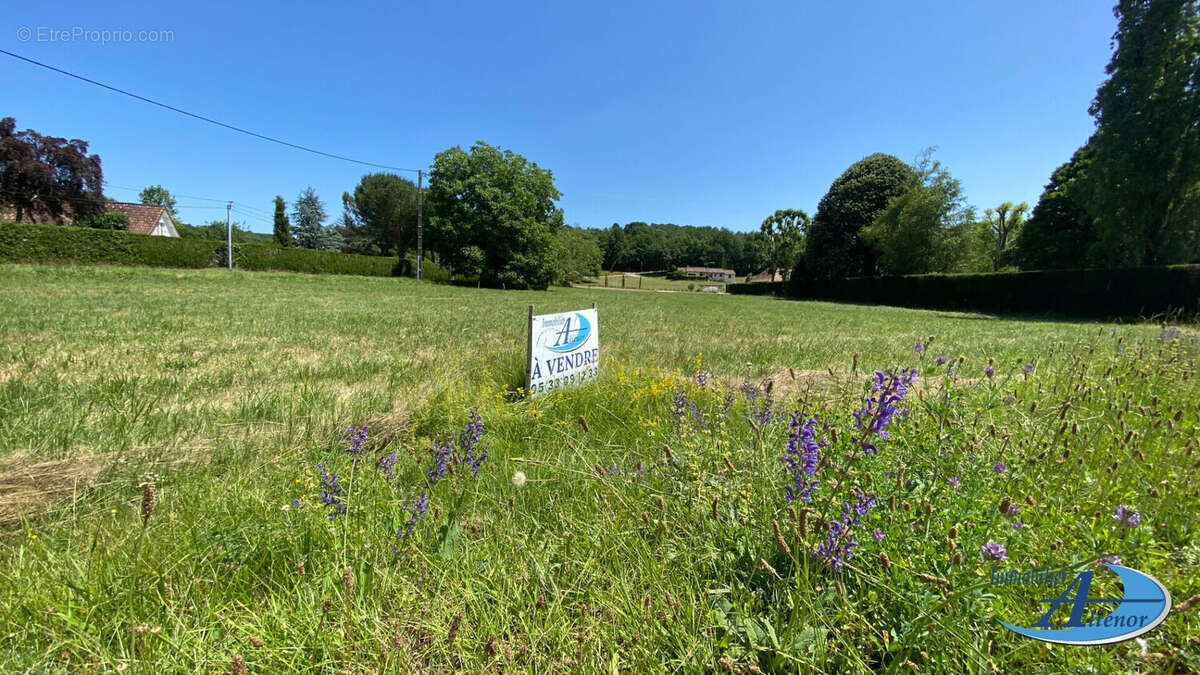 Terrain à SAINT-FRONT-LA-RIVIERE