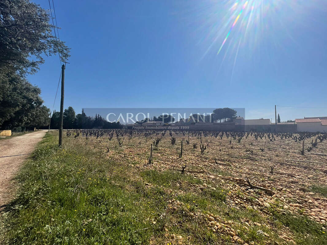 Terrain à CHATEAUNEUF-DU-PAPE