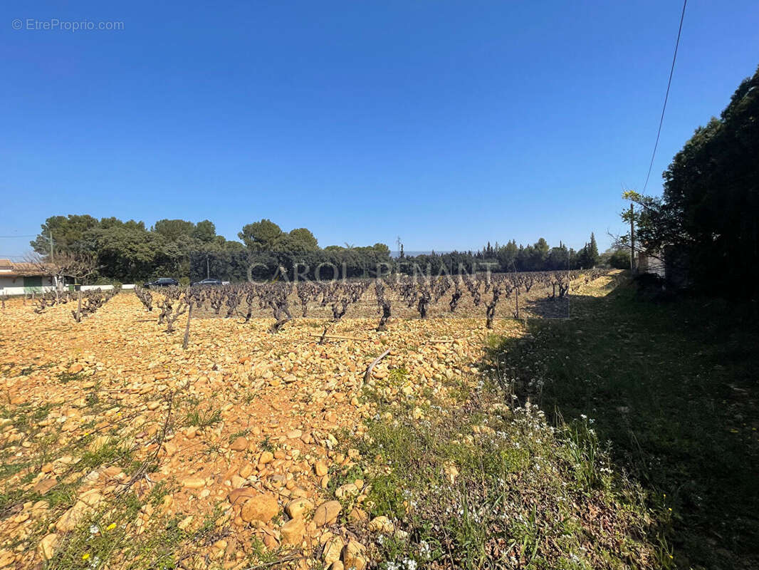 Terrain à CHATEAUNEUF-DU-PAPE