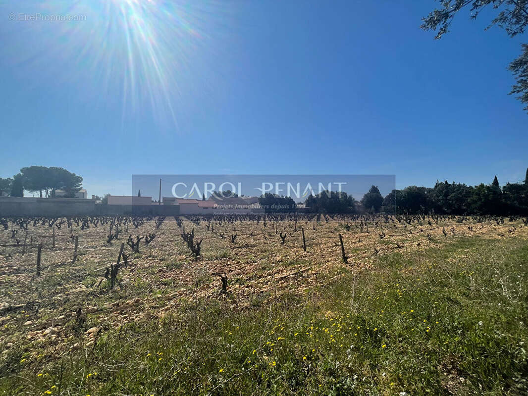 Terrain à CHATEAUNEUF-DU-PAPE