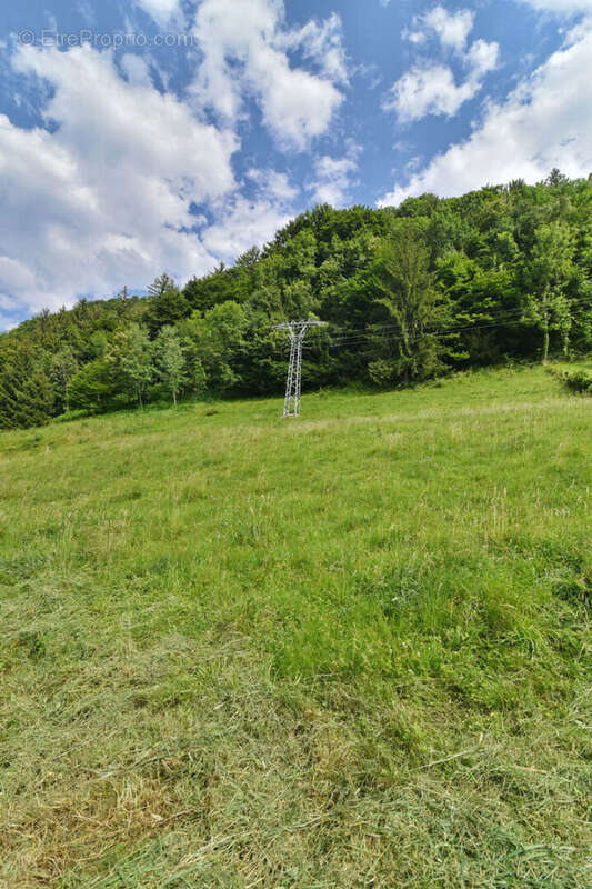 Terrain à SAINT-PIERRE-D&#039;ALLEVARD