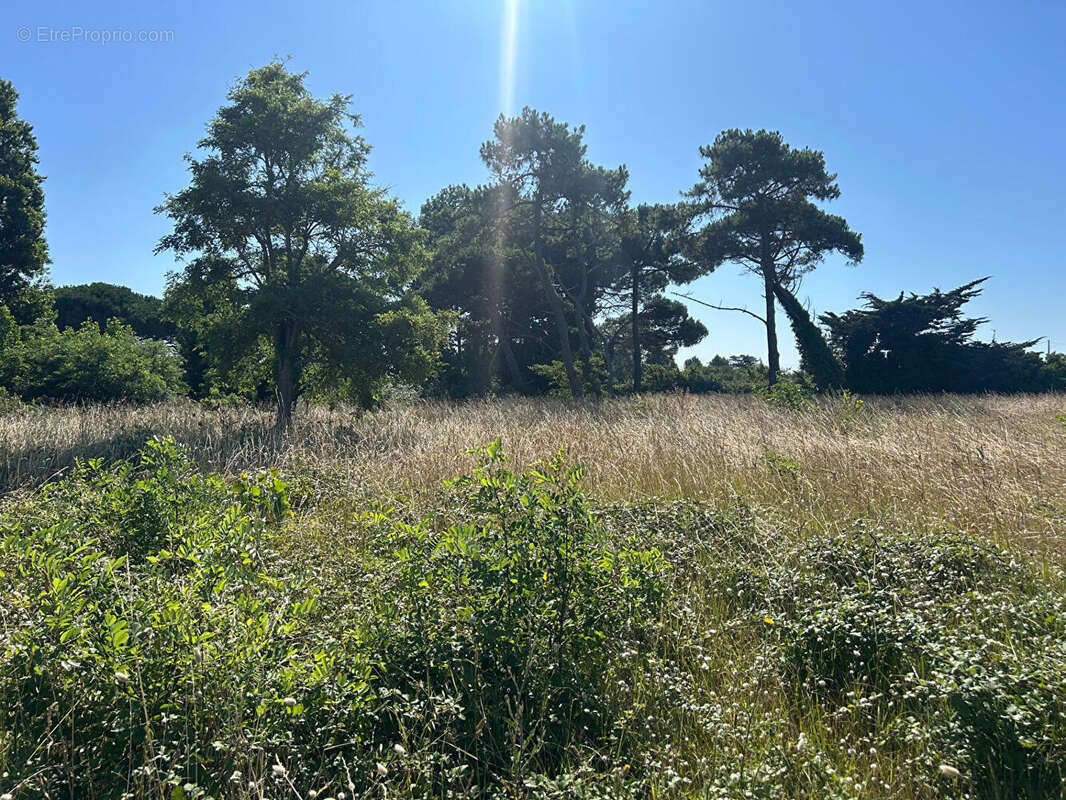 Terrain à L&#039;AIGUILLON-SUR-MER